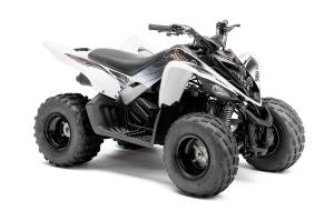 Yamaha - Raptor 90