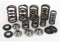 Kibblewhite Valve Springs Raptor 700