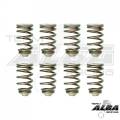 RZR Beehive Valve Spring Kit RZR 900/1000