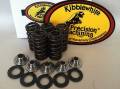 Valve spring kit Rhino 660