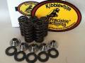 Valve spring kit Rhino 660