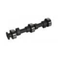 RZR 800 camshaft and lifters
