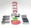 Alba Racing - JBS Kawasaki Ridge Clutch Weights (Primary Spring Option)
