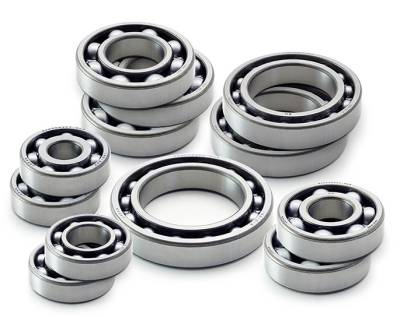 Sandcraft RZR 1000 Trans Bearings kit