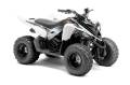 ATV - Yamaha - Raptor 90