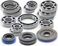 Sandcraft RZR 1000 Trans Bearings & Seals kit